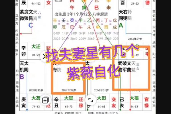 紫微斗数看配偶身材紫微 怎么通过紫微斗数看配偶身高? 紫微斗数看配偶身材紫微 怎么通过紫微斗数看配偶身高?