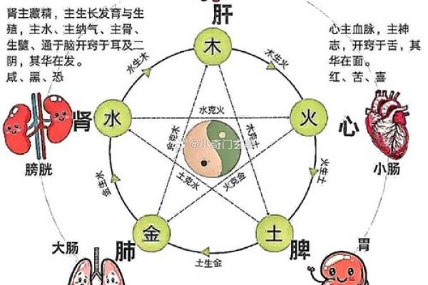 八字与身体 八字与身体