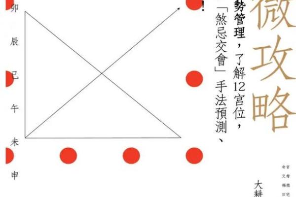 紫薇斗数案例书籍 紫薇斗数案例书籍