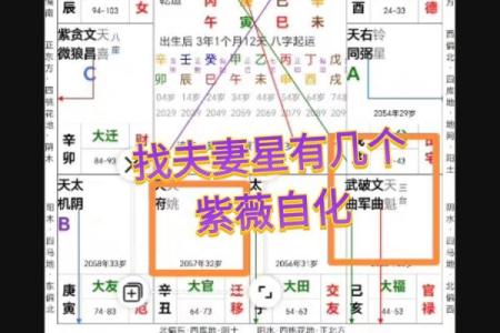 紫微斗数看配偶身材紫微 怎么通过紫微斗数看配偶身高？