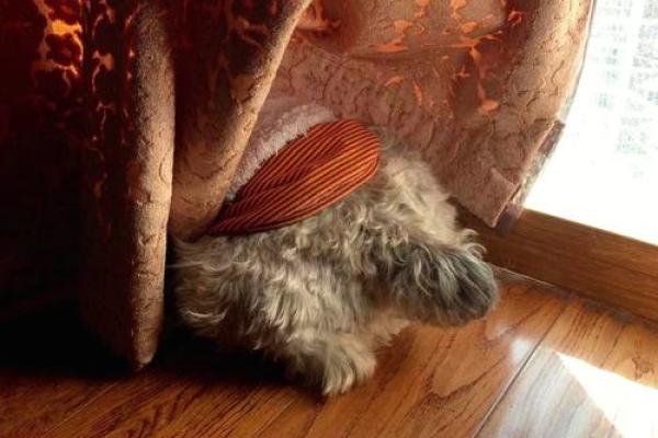 算命要我晒太阳 算命要我晒太阳