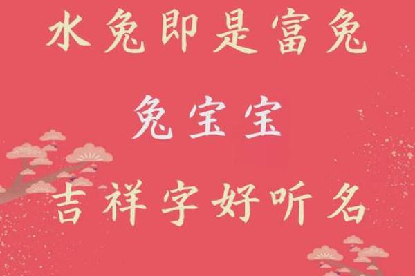 中午出生属兔的男孩应该怎么样取名字呢？姓名