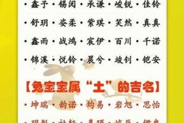 中午出生属兔的男孩应该怎么样取名字呢？姓名