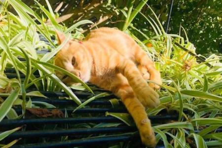 算命要我晒太阳