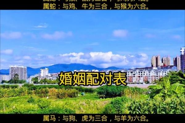 免费生辰八字配对姻缘算命