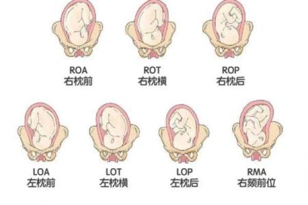 胎记算命：最好胎记长什么部位