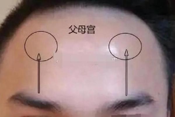 紫薇斗数太阴视频