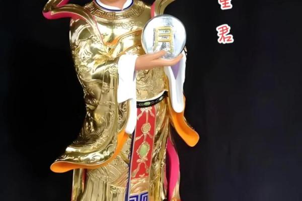 紫薇斗数太阴视频