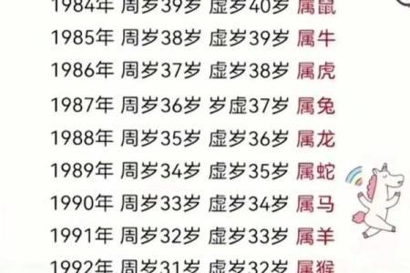 2013年1月属龙是什么命_富贵龙一般生在几月