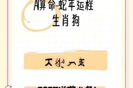 2025属狗的多大_2025年属狗的人年龄多大详细解析