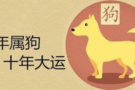 1970年属狗人一生运势如何 1970年属狗的人2021年运程十二生肖网