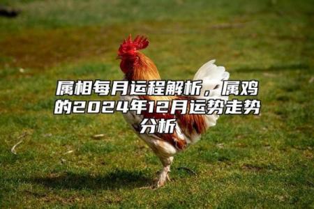 1969年属鸡2025年运程 1969年属鸡2025年运程详解财运事业感情全面解析