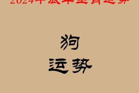 2025年94年属狗人的全年运势详解_2025年属狗人全年运势详解94年出生者运程大揭秘
