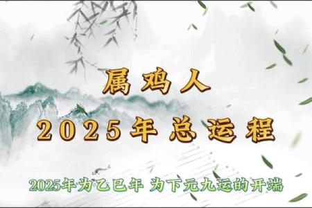 2025属鸡的五大贵人 2025年属鸡人的五大贵人助力事业与财运的关键人物