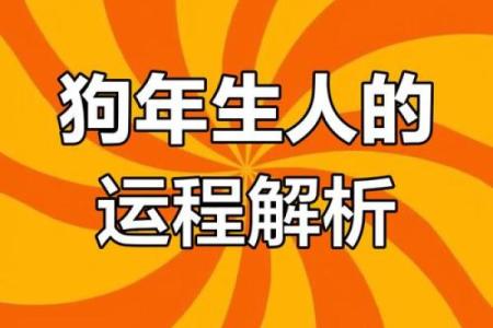 2025年属狗女1982全年运势_2025年属狗女1994年运势