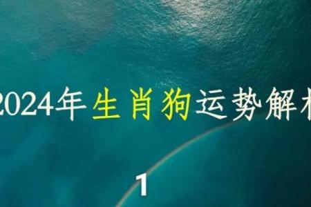 2025年82年属狗人运势详解运程预测与吉凶分析