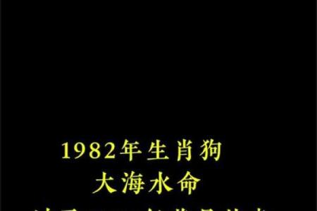 生肖狗2025年1月运势_属狗2025年运势及运程每月运程狗