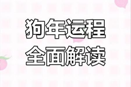 2025年属狗的今年多少岁_属狗2025年属狗每月运势和运