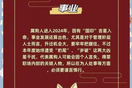 2025属狗人的全年运势1982出生_20251994年属狗人的全年运势