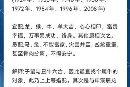 2006属狗最佳结婚年龄_2006年属狗最佳婚姻