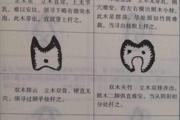风水点穴_青蛙捕食穴应点在什么地方