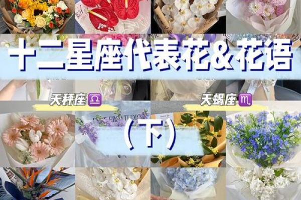 十二星座对应守护花分别都有哪些呢