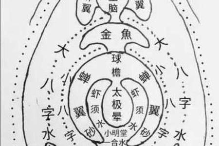 风水点穴_青蛙捕食穴应点在什么地方