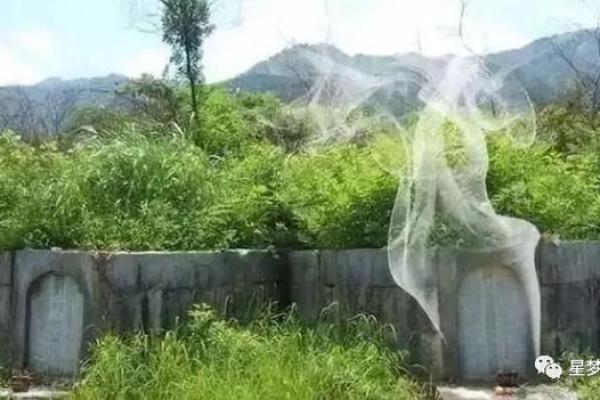 容易出贵人的坟墓风水特征