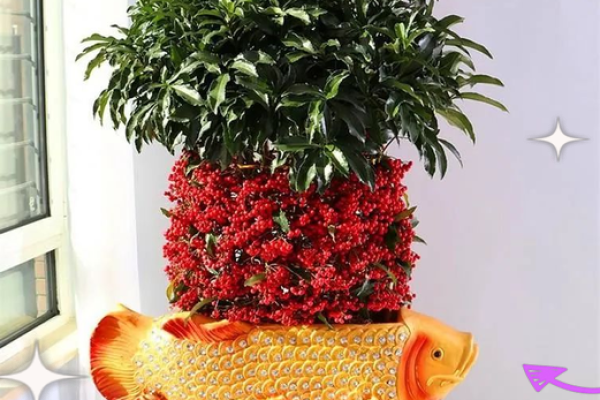 风水什么花招财又旺宅好养吉祥植物