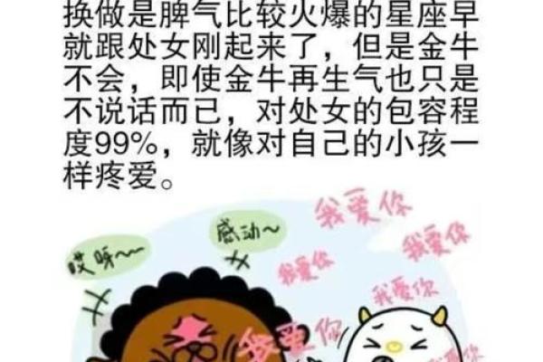 处女座女与哪个星座合适