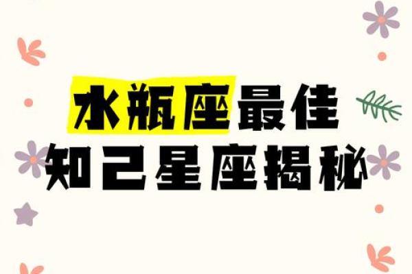 十二星座适合什么知己男