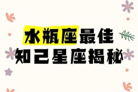 十二星座适合什么知己男