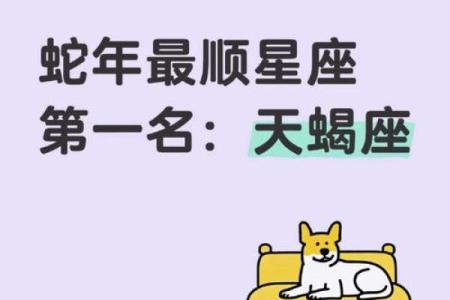 对天蝎座最好的星座是哪个