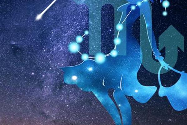 12星座最适合嫁的明星老公处女座