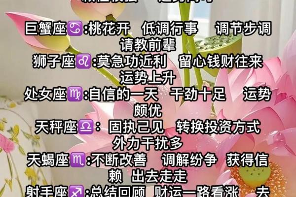 白羊座未来十二星座运势