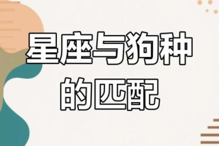 12星座男养狗适合养什么狗