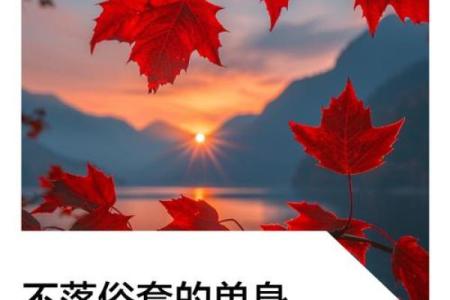 十二星座的单身宣言是什么？