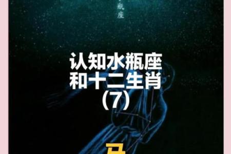 小马座的星座传说与故事