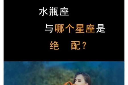 水瓶座和哪个星座一点都不配