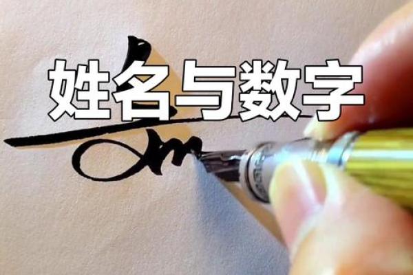 姓名数字配对游戏 姓名对应数字？