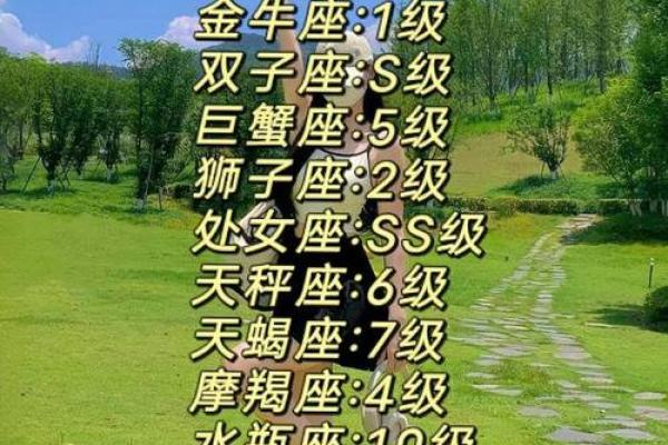 十二星座好运日期，把握幸运时刻