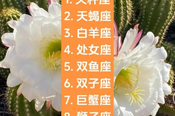 天秤座适合跟什么星座处cp