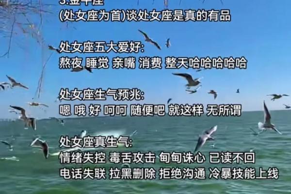 处女座最合适处对象的星座