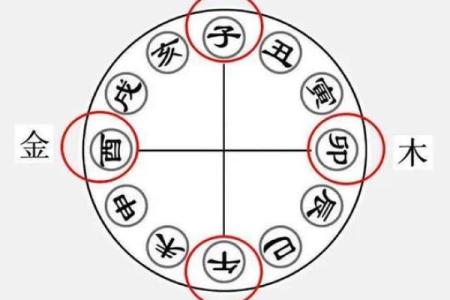 八字中的包局什么意思