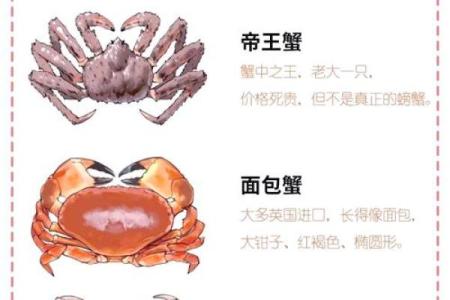 十二星座最适合哪种螃蟹