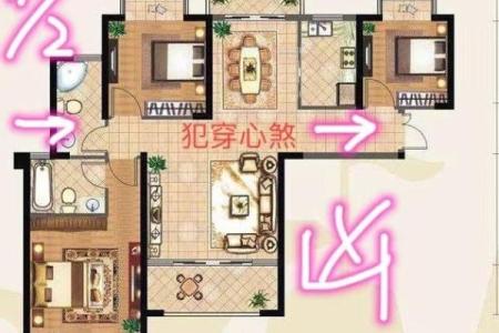 越住越富的房子青龙方位