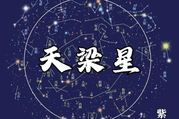 紫薇斗数夹辅