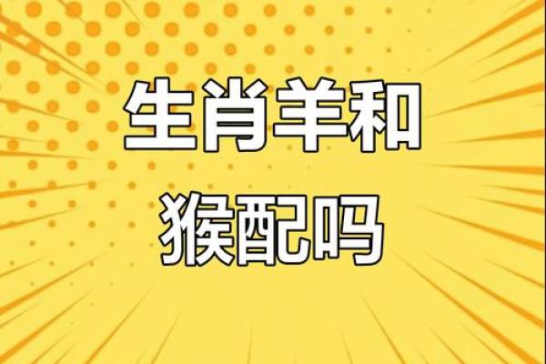 属羊双子座B型血男女性格分析和配对