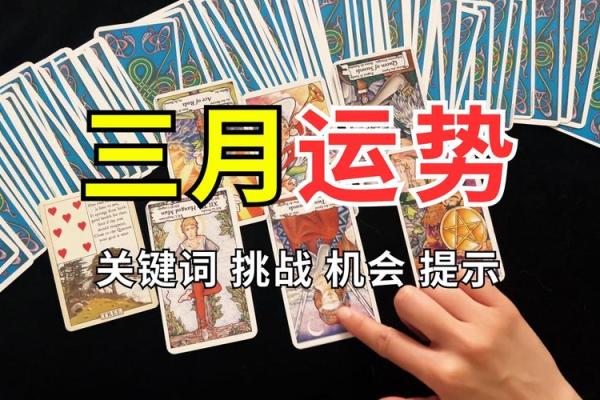 塔罗牌测试十二月财运情况如何？
