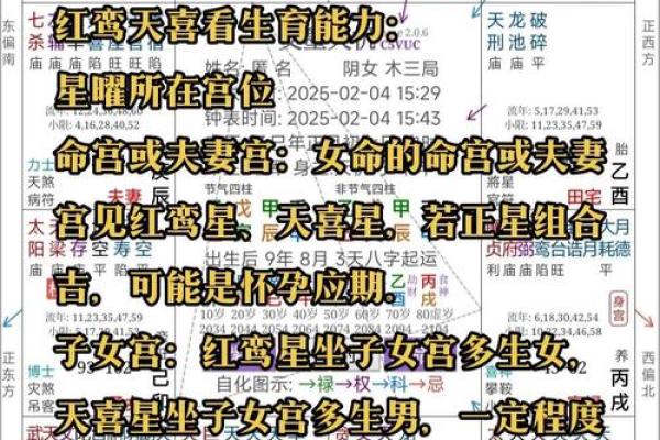 紫薇斗数慈禧命盘